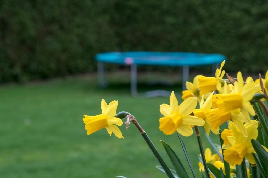 Groepsaccommodatie Kom In De Bedstee Sprookje Winterswijk Zewnętrze zdjęcie