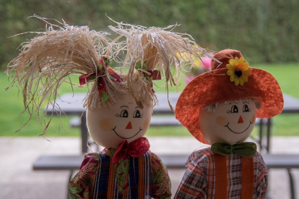 Groepsaccommodatie Kom In De Bedstee Sprookje Winterswijk Zewnętrze zdjęcie